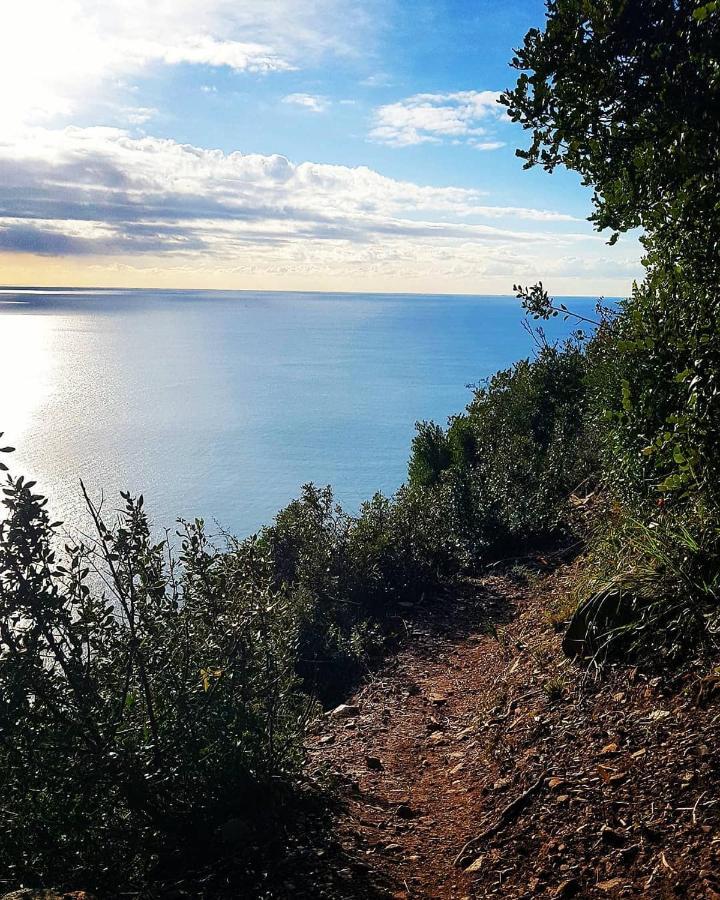 Salvia E Rosmarino - Affittacamere In Liguria Villanova d'Albenga Εξωτερικό φωτογραφία