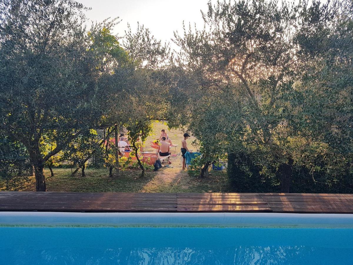 Salvia E Rosmarino - Affittacamere In Liguria Villanova d'Albenga Εξωτερικό φωτογραφία