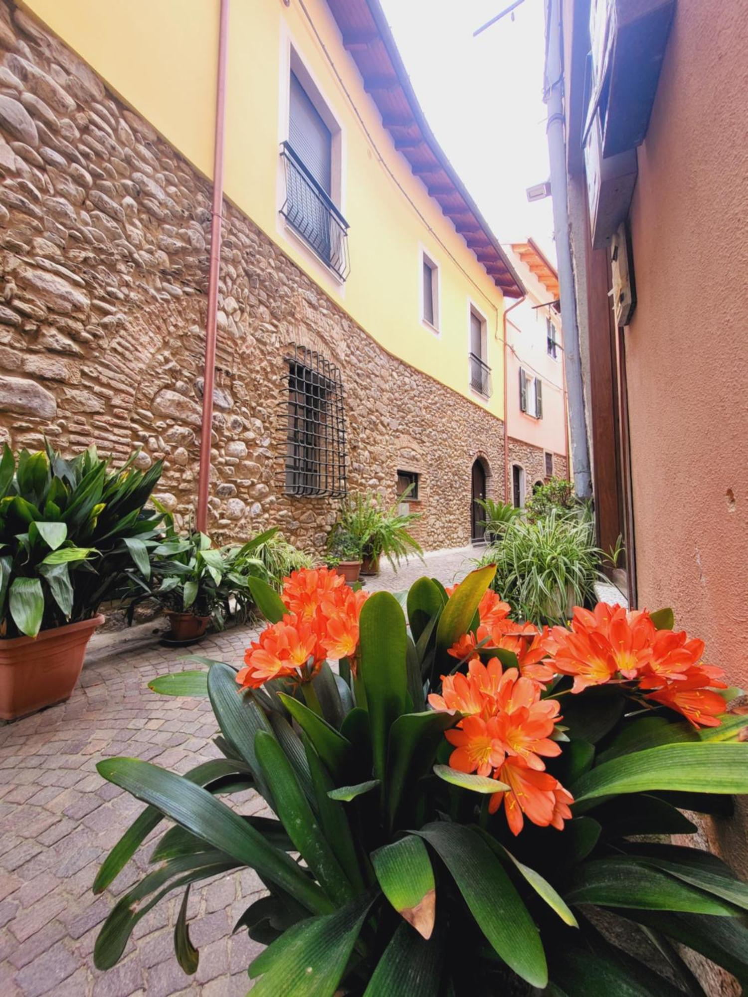 Salvia E Rosmarino - Affittacamere In Liguria Villanova d'Albenga Εξωτερικό φωτογραφία