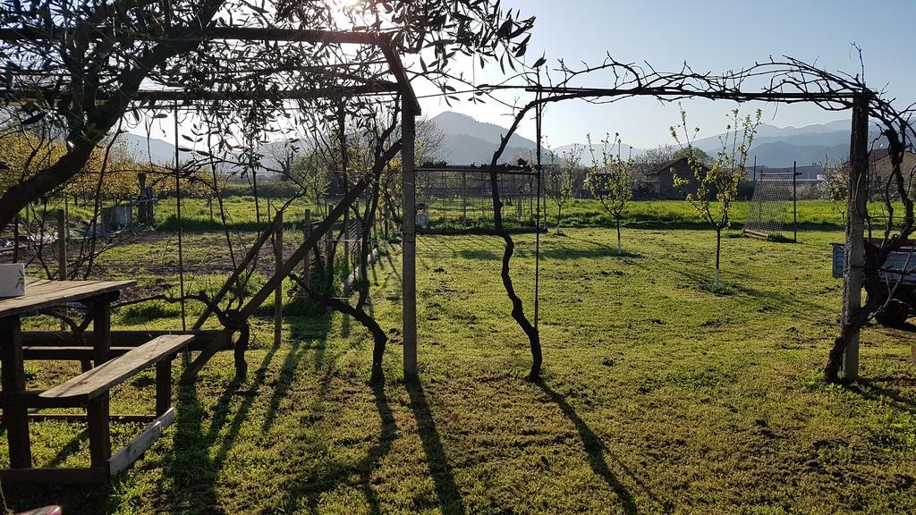 Salvia E Rosmarino - Affittacamere In Liguria Villanova d'Albenga Εξωτερικό φωτογραφία