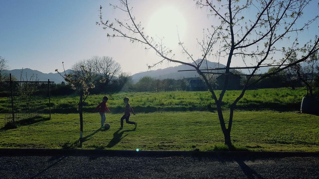 Salvia E Rosmarino - Affittacamere In Liguria Villanova d'Albenga Εξωτερικό φωτογραφία